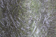 Holme Lane fibreglass roof work